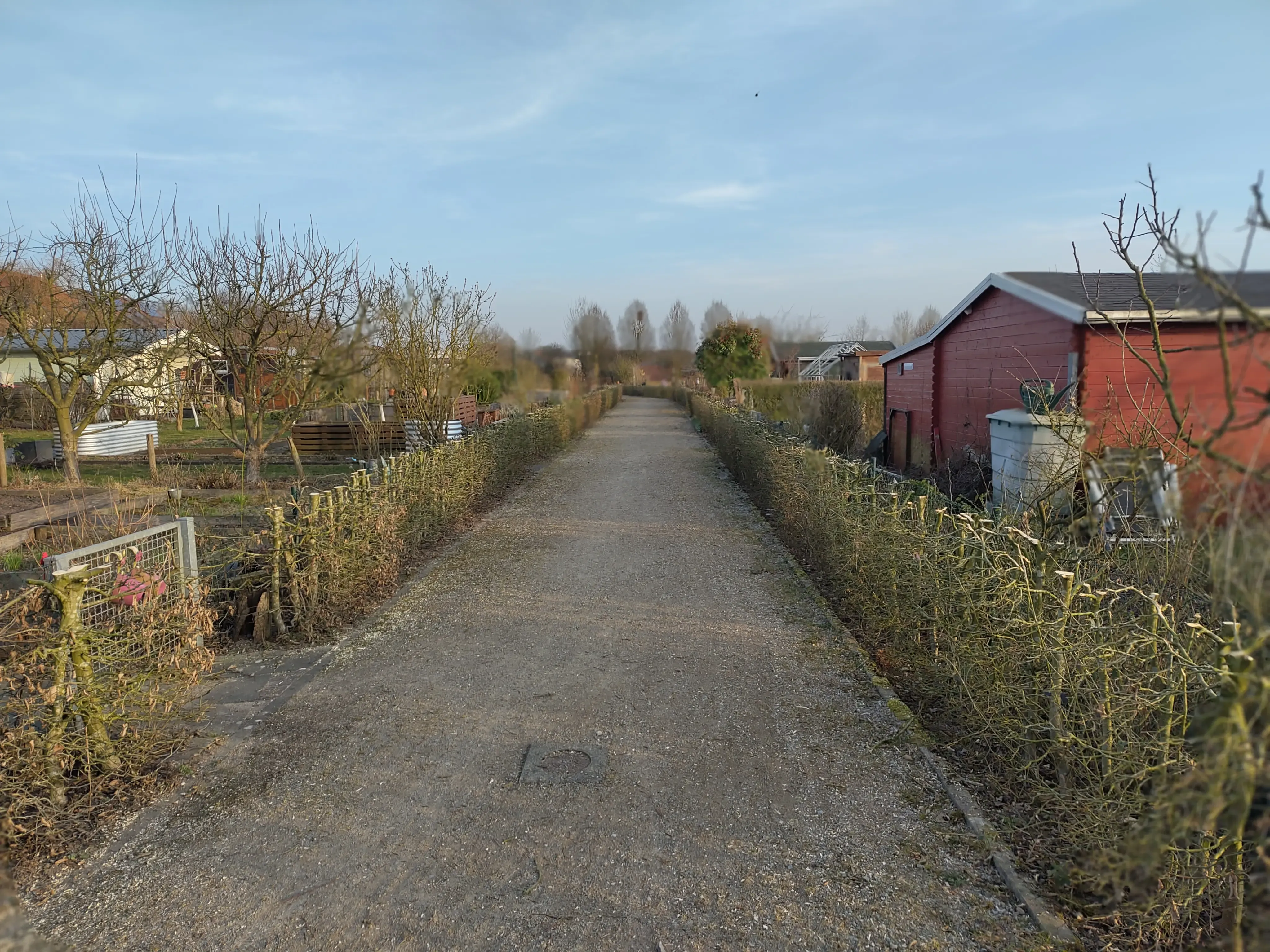 Weg mit geschnittener Hecke
